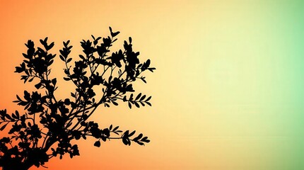 Fototapeta premium Silhouette of Branches Against Colorful Gradient Sky Background