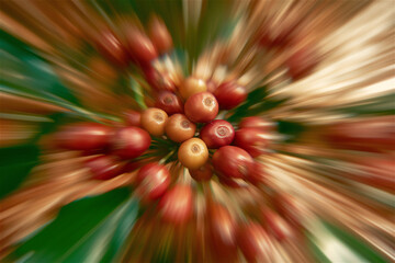 Dynamic macro photography of coffee cherries with radial blur effect, creating a vibrant and artistic visualization of natural botanical details and motion.