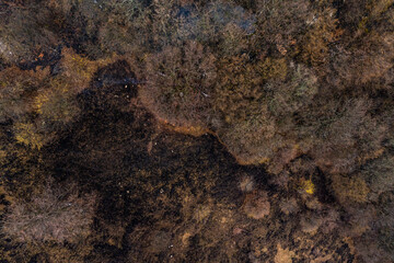 Forest wild fires danger for environment. Aerial view of a burnt forest after a wildfire, showing blackened earth and destroyed trees. The impact of fire on the natural environment.