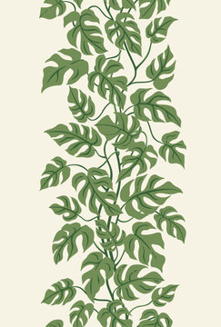 Seamless vector floral border. Monstera deliciosa. Tropical leaves card. Green