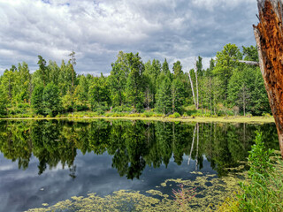 Fototapeta premium Landscapes on a summer lake.