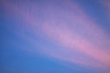 Waves of soft pink clouds during twilight in a clear sky