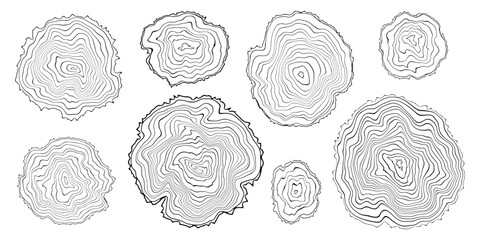 Log cut, vector illustration, tree rings pattern, shades of gray