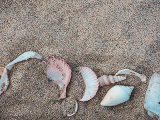 Seashells on the sand for summer sea copy      