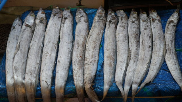 생선 가게에 진열된 갈치