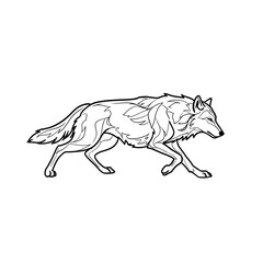 Obraz premium A wolf. Black line drawing. Black and white image.