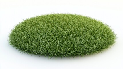 Lush green grass tuft isolated on white. (1)