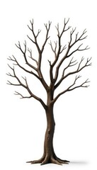Obraz premium Isolated tree branches on a white surface with varying lengths, branches, wood, solitary