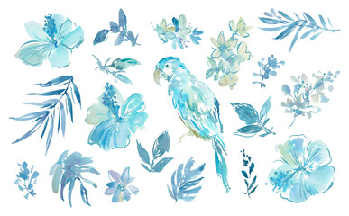 Watercolor PNG illustration set featuring abstract blue hibiscus flowers , monstera, tropical leaves and a parrot. Hand-drawn clipart set of tropical flowers and bird with a transparent background. © Sawango