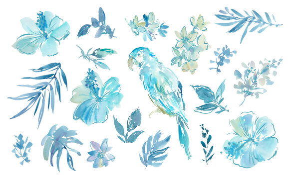 Watercolor PNG illustration set featuring abstract blue hibiscus flowers , monstera, tropical leaves and a parrot. Hand-drawn clipart set of tropical flowers and bird with a transparent background.