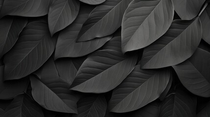 Black leaves layered together, creating a textured and monochromatic natural pattern.