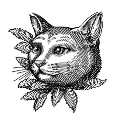 Engraved vector illustration of a cat's head surrounded by foliage ideal for tattoo designs and unique packaging
