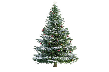 christmas tree isolated on white