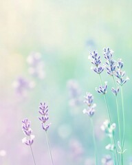 Naklejka premium A soft lavender and mint gradient background. Featuring lavender tones blending into mint green. Emphasizing calmness and freshness. Ideal for spring-themed visuals