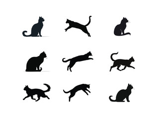 Silhouette of a cat