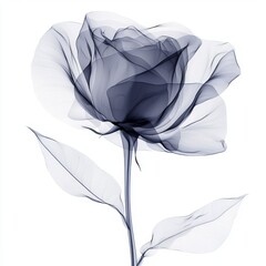 Delicate Blue Floral Illustration of a Transparent Rose with Ethereal Petals and Graceful Leaves in Artistic Style