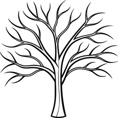Elegant Bare Tree Line Art - Autumn and Fall Season Vector Illustration