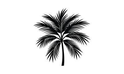 Fototapeta premium Palm Tree Stands Tall Isolated