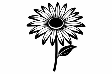 daisy flower line art silhouette vector illustration