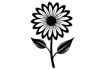 daisy flower line art silhouette vector illustration
