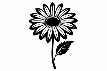 daisy flower line art silhouette vector illustration