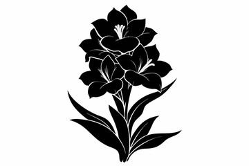 gladiolus flower line art silhouette vector illustration