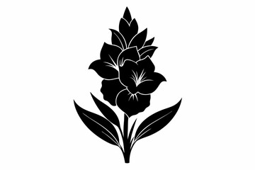 gladiolus flower line art silhouette vector illustration