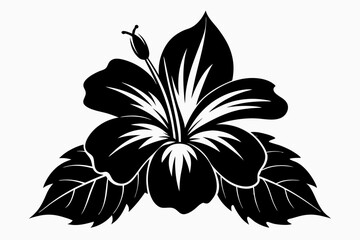 hibiscus flower line art silhouette vector illustration