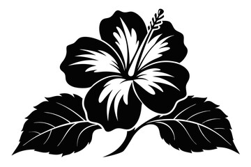 hibiscus flower line art silhouette vector illustration