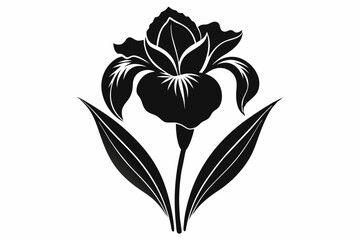iris flower line art silhouette vector illustration