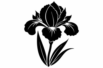 iris flower line art silhouette vector illustration