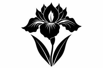 iris flower line art silhouette vector illustration