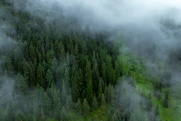 Aerial view of forest landscape in fog and rain