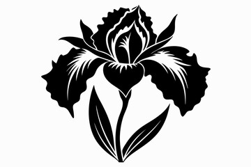 iris flower line art silhouette vector illustration