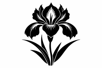 iris flower line art silhouette vector illustration