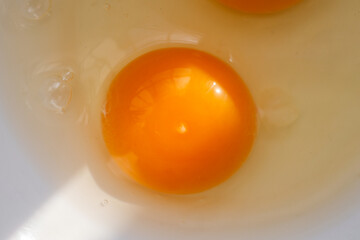 Close-up of raw egg yolks in a white bowl, illuminated by natural light. The golden, glossy texture of the yolks contrasts with the translucent egg whites, creating a fresh and organic food