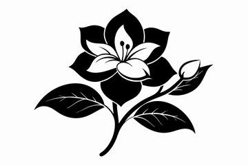 jasmine flower line art silhouette vector illustration