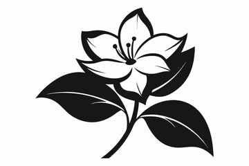 jasmine flower line art silhouette vector illustration