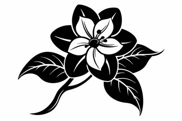 jasmine flower line art silhouette vector illustration