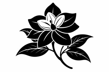 jasmine flower line art silhouette vector illustration