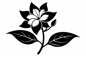jasmine flower line art silhouette vector illustration