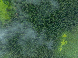 Aerial view of forest landscape in fog and rain
