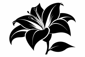lily flower line art silhouette vector illustration