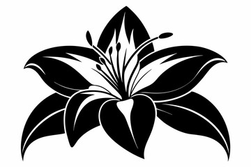 lily flower line art silhouette vector illustration