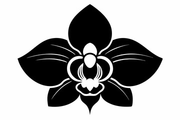orchid flower line art silhouette vector illustration