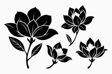 set of four magnolia flower line art silhouette vector illustration