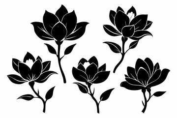 set of four magnolia flower line art silhouette vector illustration