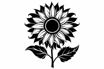sunflower line art silhouette vector illustration