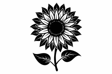 sunflower line art silhouette vector illustration