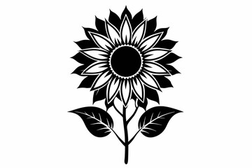 sunflower line art silhouette vector illustration